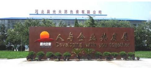 邯郸有哪些影响中国的,影响我国经济的几家企业