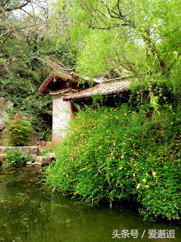 不还手不放手歌曲教学,不还手不放手男声