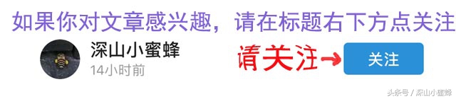 视频画面裁剪,只要其中一部分,我用这个手机软件实现的