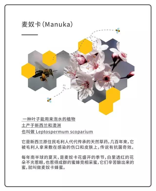 新西兰本土蜂蜜多少钱一罐,新西兰蜂蜜为什么火了