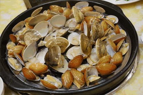 山与海之间有一个地方,穿梭山与海与城之间