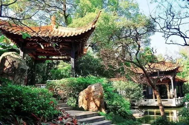 去过100次越秀公园，却不知旁边有个秘密花园！美爆了！