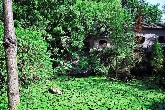 去过100次越秀公园，却不知旁边有个秘密花园！美爆了！