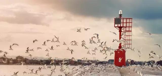 有哪些歌最打动你,哪些歌词打动人心