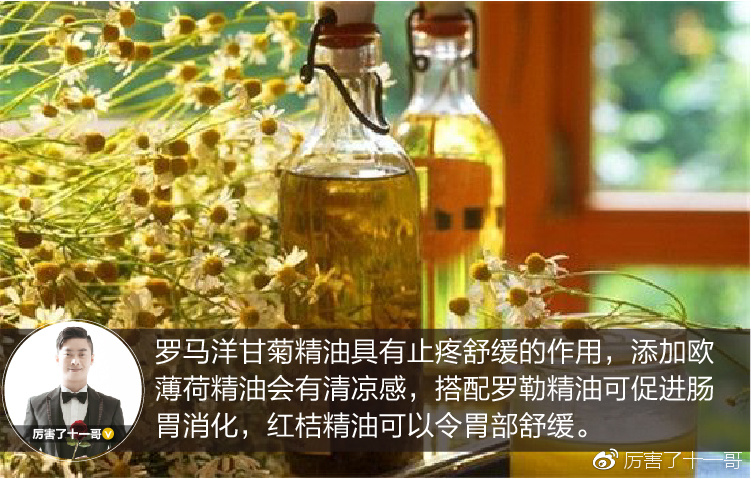 罗马洋甘菊舒缓润泽精油,罗马洋甘菊精油可以泡脚吗