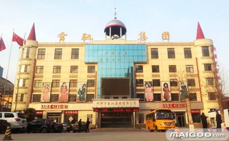 邯郸有哪些影响中国的,影响我国经济的几家企业