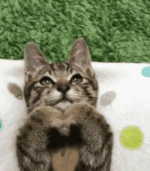 还沉浸在美景中无法自拔,还沉浸在美颜的世界无法自拔