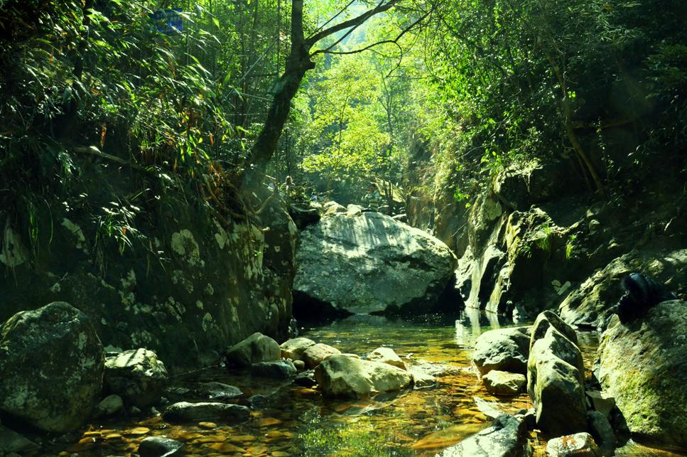 万梓良客家哪里人,万梓良祖籍广东宝安什么村