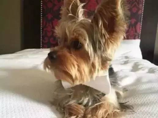 出差无聊只好自娱自乐,出差又累又没效率