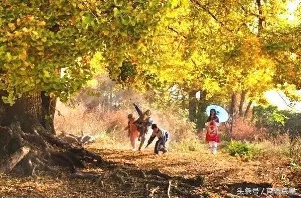 清远连州十大最好玩的景点,连州古城古村风景