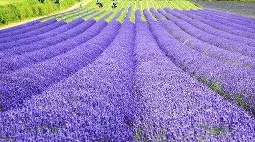 银川奥特莱斯吃喝玩乐,宁夏奥特莱斯活动