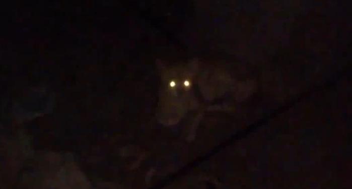 光是波,还是粒子?它是瞬间的,还是有某个速度?