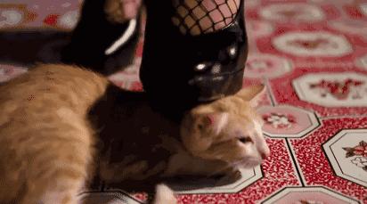 26种新死法电影完整版,二十六种死法电影完整版