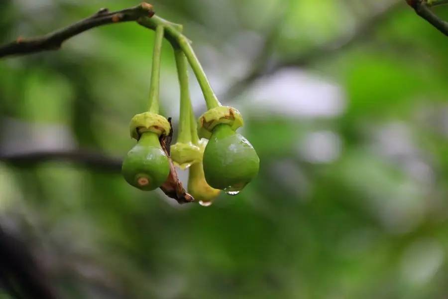 元宝山下,山水云间,悠悠闲云时光,恰好那时我也在