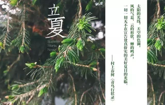 怎么样夏天跑步不中暑,夏天高温跑步会中暑么