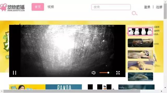 搞人的直播已经腻了,有家直播网站搞起了动物直播