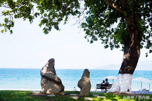 马尔代夫和芽庄哪个好玩,一个人的马尔代夫