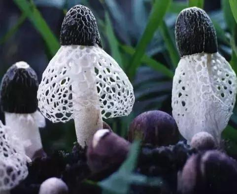 假如世界没有了人类世界会怎样,假如世界上没有元朝会怎样