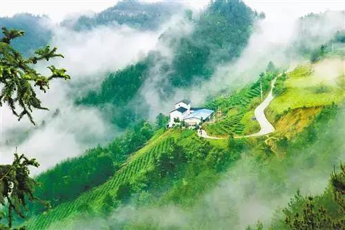 只要有这四个字，云阳县长敢拍胸膛：绝不卖假货！