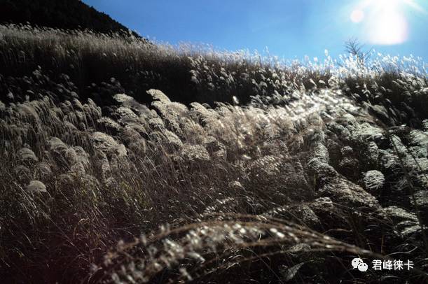 徕卡最顶级的28mm镜头,徕卡50毫米镜头哪款最经典
