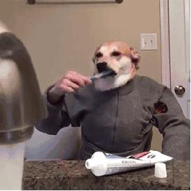 孤单寂寞冷，「alone，lone」傻傻分不清！