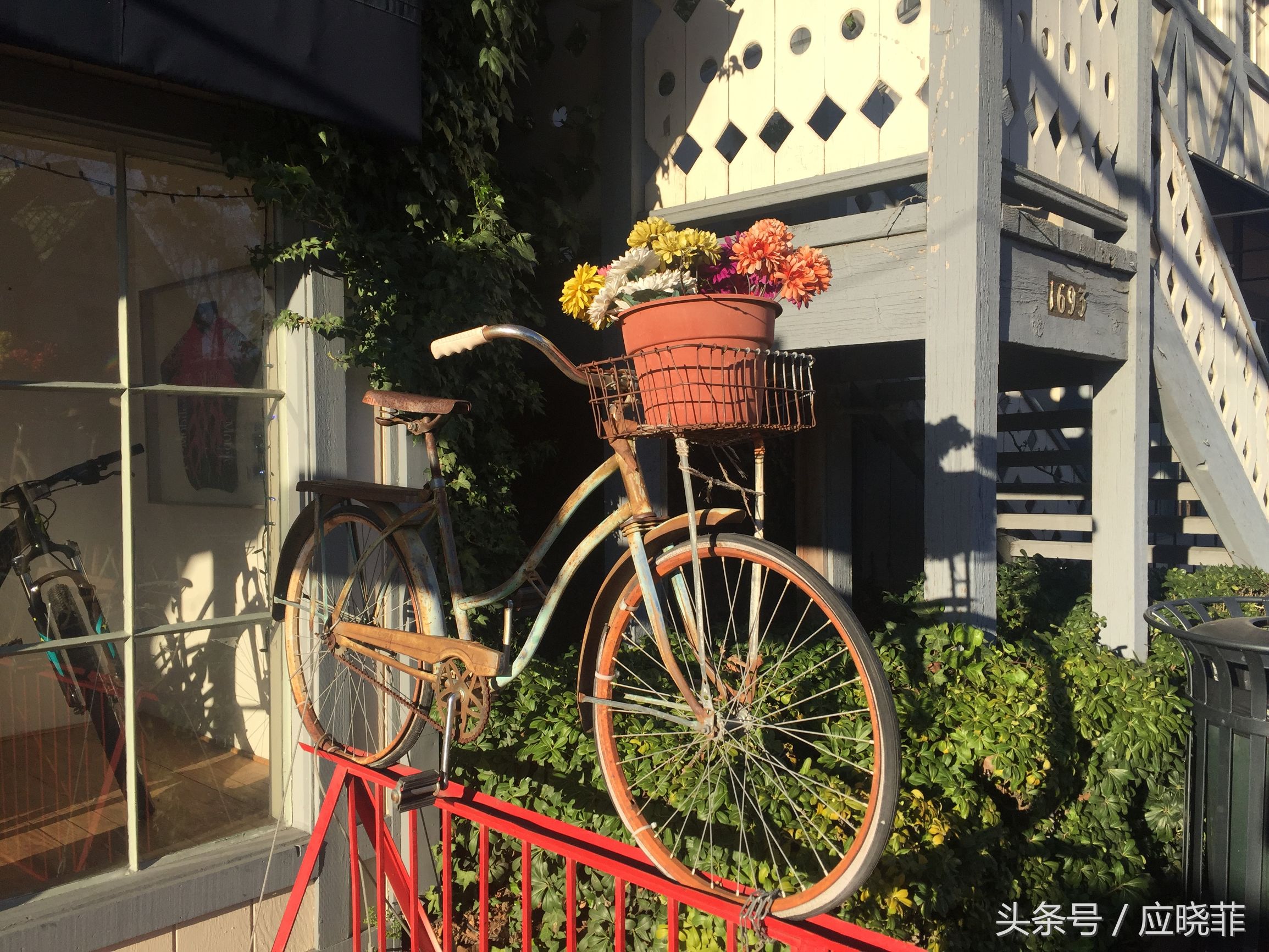 生活在别处米兰昆德拉,生活在别处英文