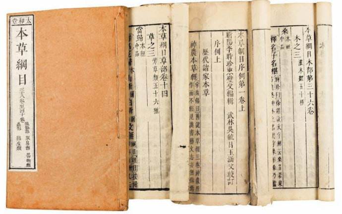 牙痛最怕的一种野草谷精草,谷精草治牙疼的用法