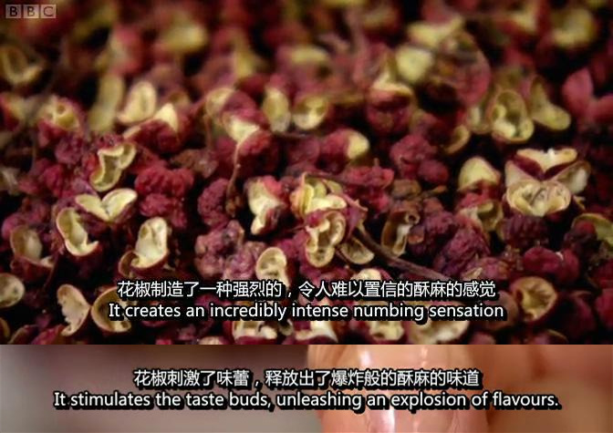 听说你们四川人有种毒,服下会有种不可描述的肉麻