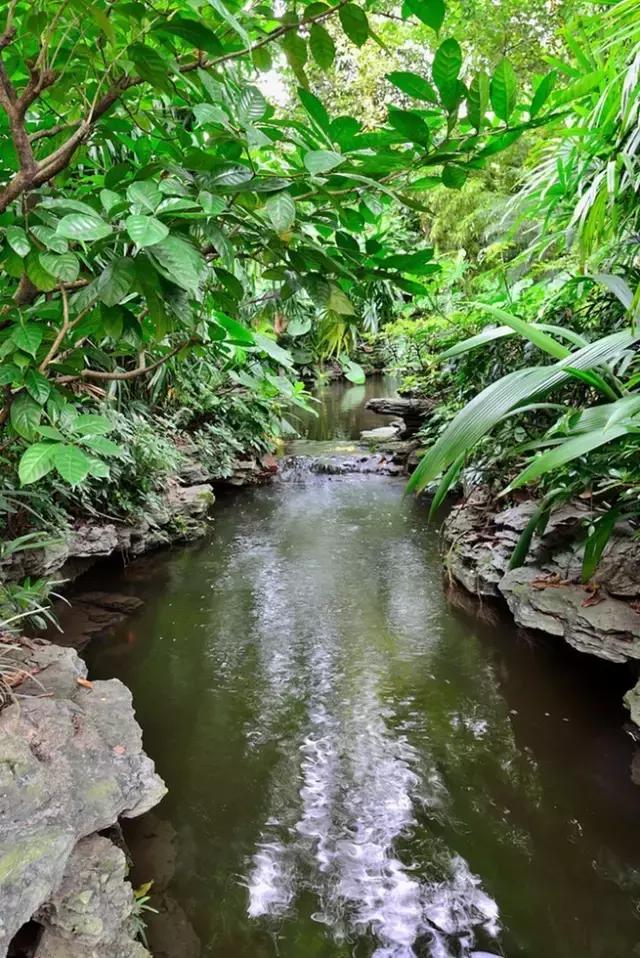 去过100次越秀公园，却不知旁边有个秘密花园！美爆了！