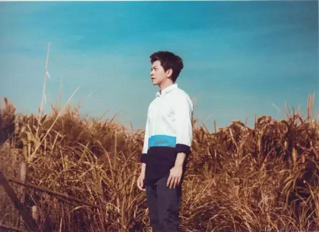 有哪些歌最打动你,哪些歌词打动人心