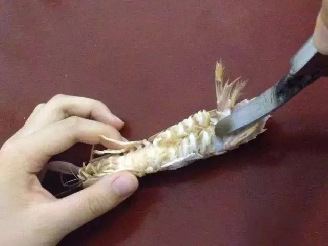 吃的真相|是膏不是胶!皮皮虾,这锅我们不背!