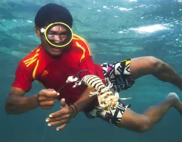 吃的真相|是膏不是胶!皮皮虾,这锅我们不背!