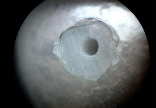 螺钿大柜以前是用砗磲做的吗,古代的海洋珍宝玳瑁