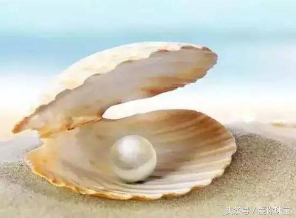珍珠保养注意什么,珍珠保养需要注意哪些