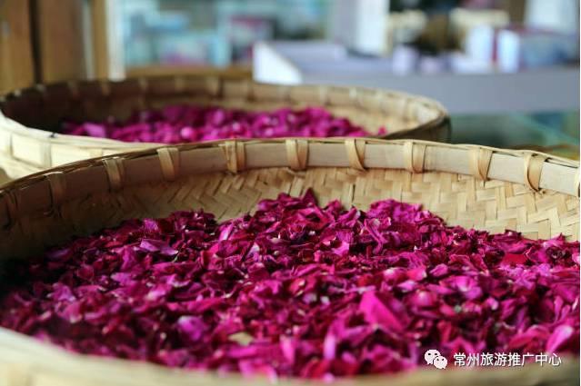 常州花海胜地,常州五月花海尽显美好田园风光