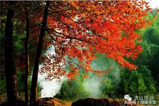 清远连州十大最好玩的景点,连州古城古村风景