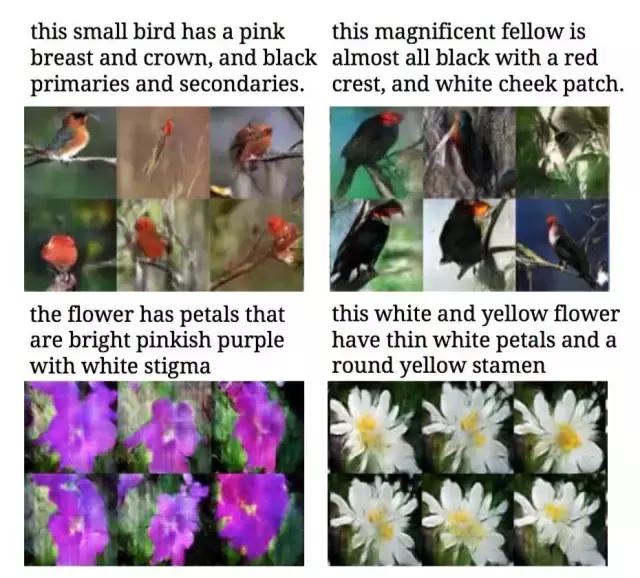 自编码器生成对抗网络,自编码器生成对抗网络模型