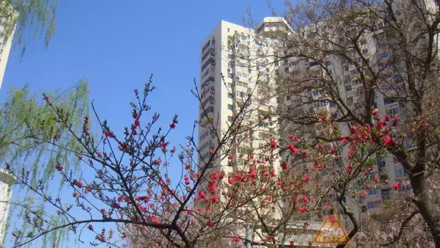 鏂瑰簞鍘嗗彶,鏂瑰簞浼犲鏁呬簨