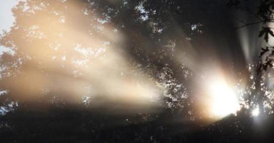 光是波,还是粒子?它是瞬间的,还是有某个速度?