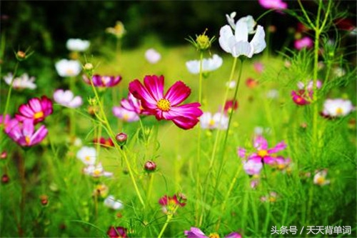 生活简单美好的句子发朋友圈说说,生活努力忙碌励志句子发朋友圈