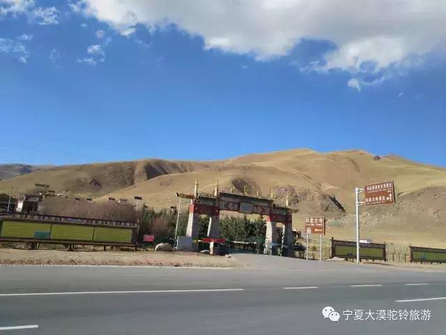 五月开始新的旅程,西北大漠驼铃