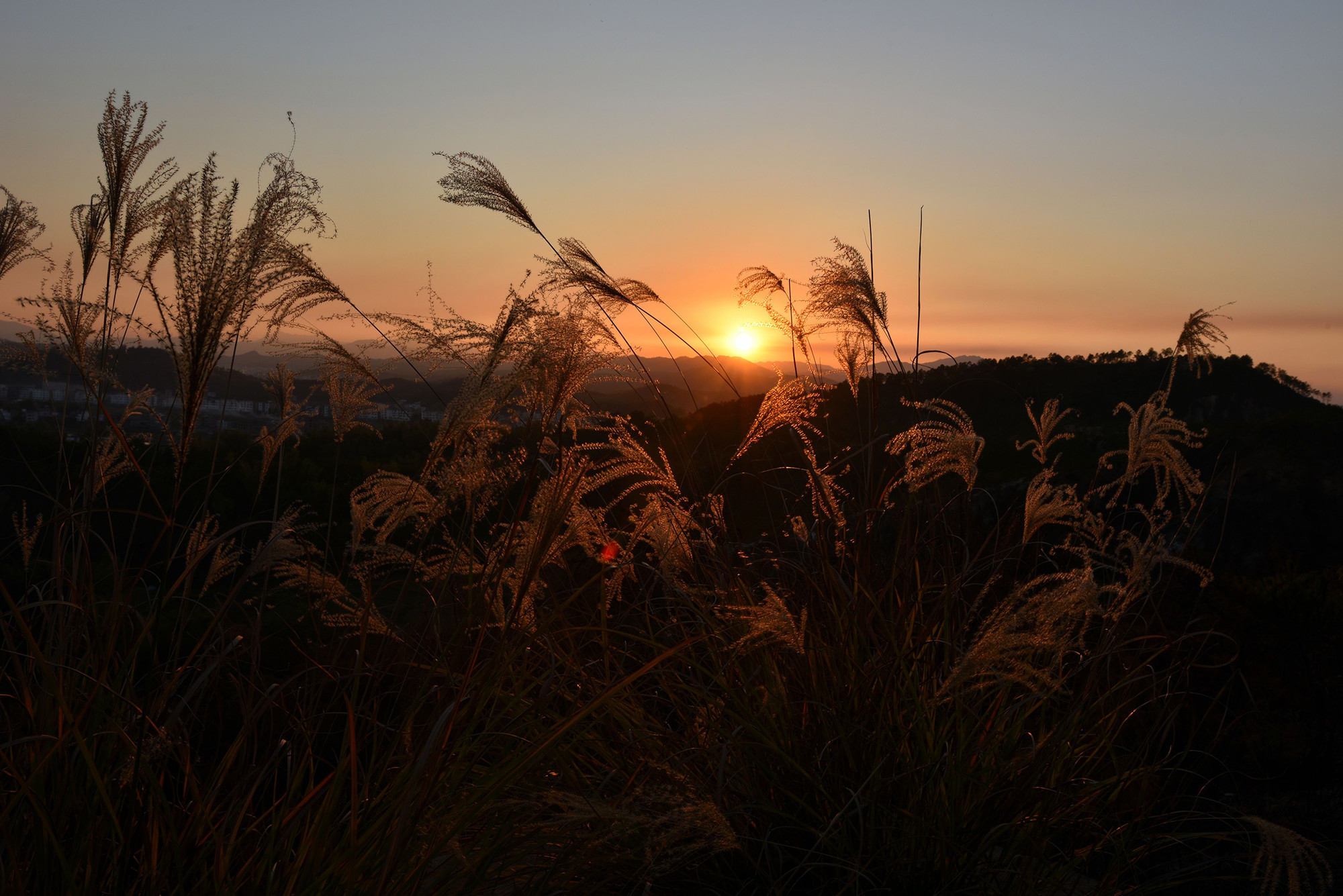 万梓良客家哪里人,万梓良祖籍广东宝安什么村