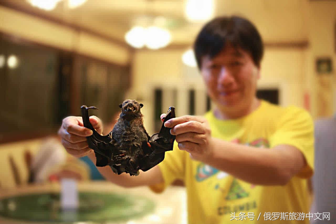 世界级六大奇葩黑暗美食,全球顶级暗黑美食