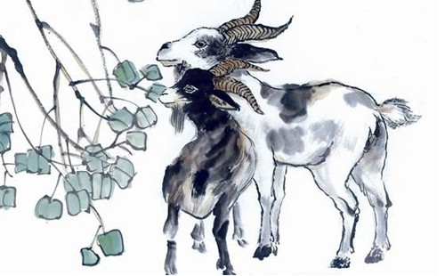 各生肖今天的运势及运程,今年的各个生肖的运势图