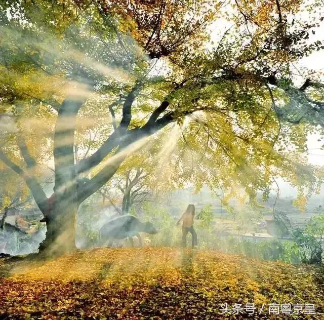 清远连州十大最好玩的景点,连州古城古村风景