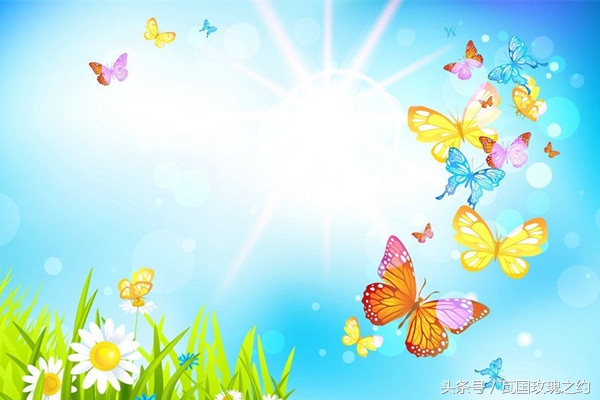 如何延长鲜切花花期,弗朗鲜切花花期长吗