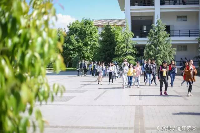 丽江创业卖什么挣钱,丽江大学生创业