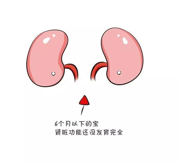 6个月宝宝需要喝水吗,6个月的宝宝需要喝水杯吗