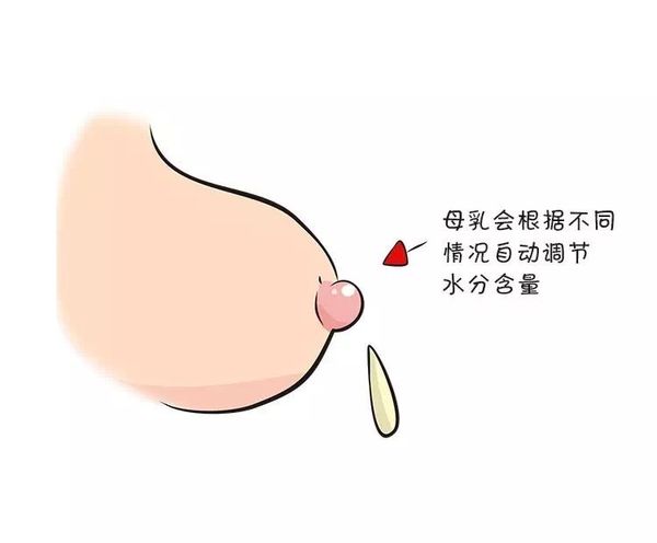 6个月宝宝需要喝水吗,6个月的宝宝需要喝水杯吗