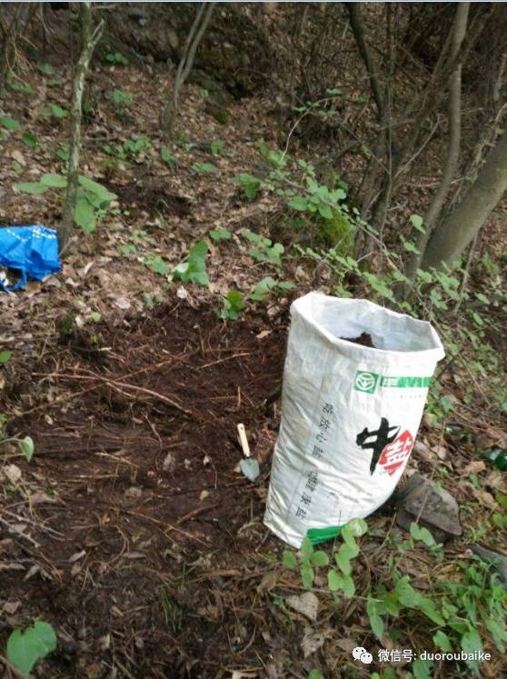 入多肉坑那些年踩过的误区,自从入了多肉坑